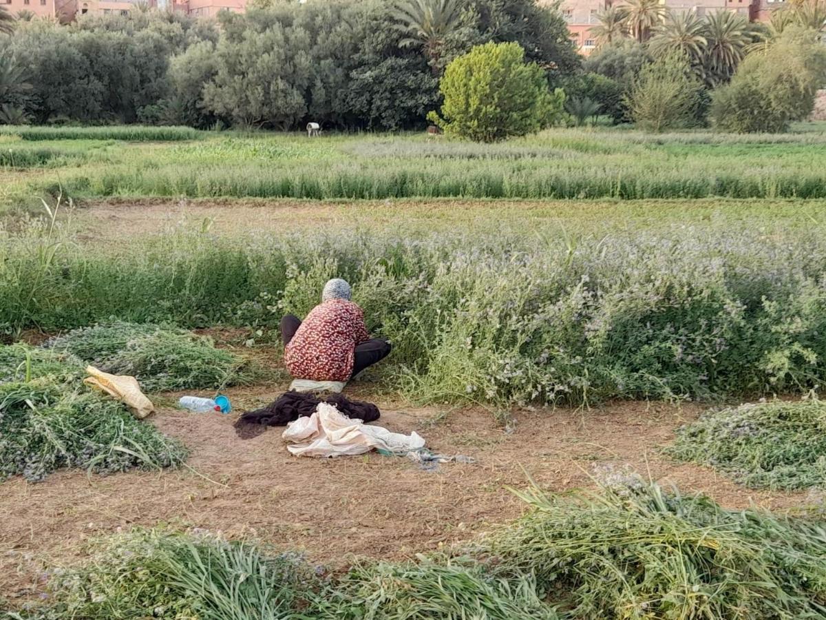 Tinghir Hike And Chill Homestay מראה חיצוני תמונה